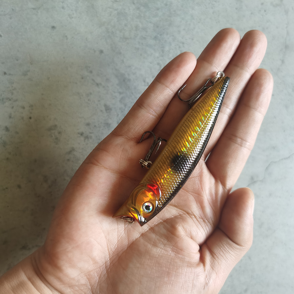 1pcs Fishing Lures High Qualit - Fishing Lure Topwater avis et prix