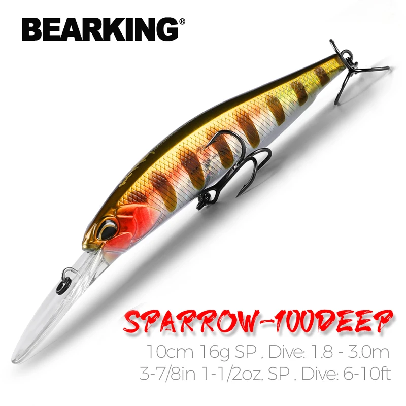 BEARKING 10cm 16g Super Magnet - Fishing Lure Jerkbait avis et prix