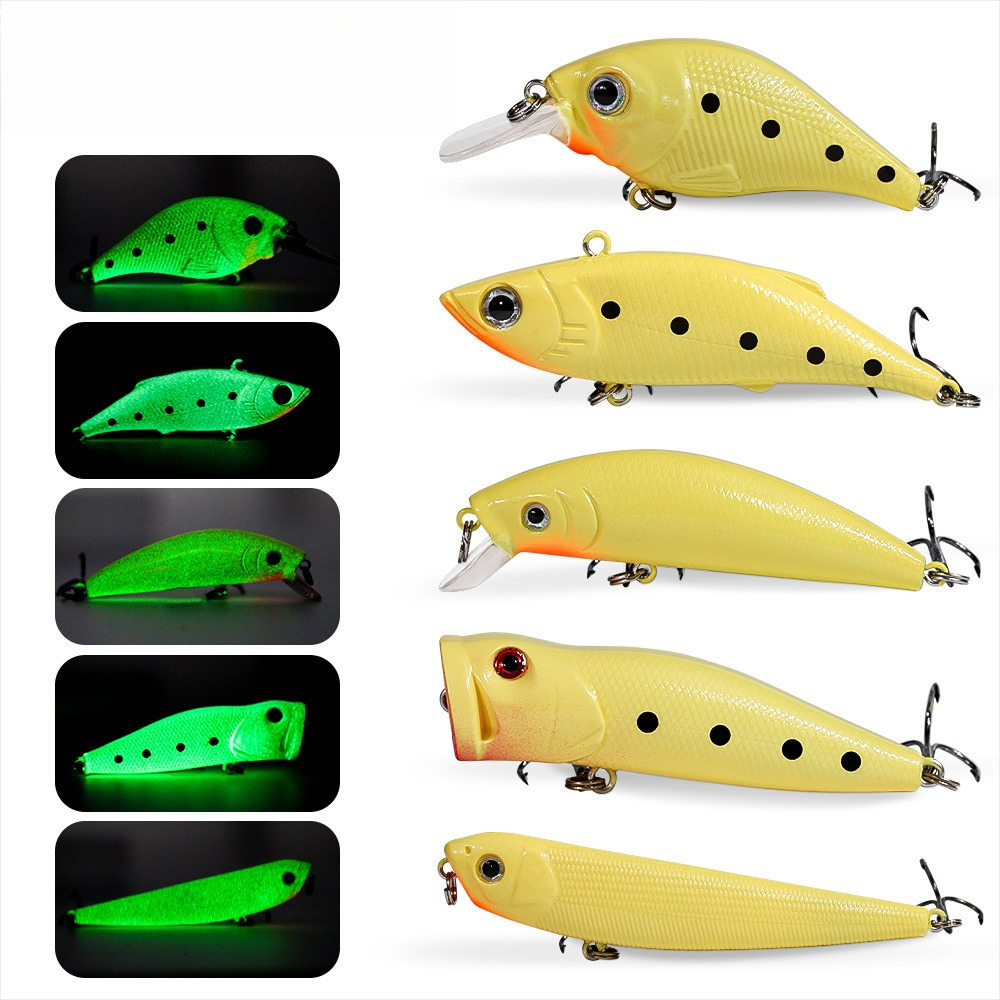 2026 Glow Lure Hard Bait Kit C - Fishing Lure Popper avis et prix