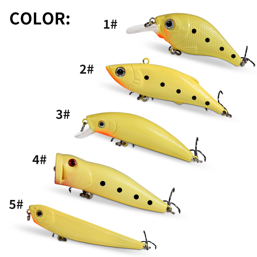 2026 Glow Lure Hard Bait Kit C - Fishing Lure Popper avis et prix