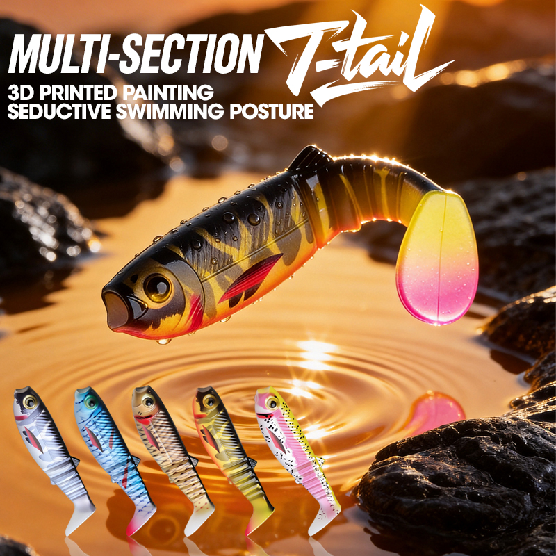 TAIYU 3pcs 7.5cm 6g 3D Multi-J - Fishing Lure Popper avis et prix