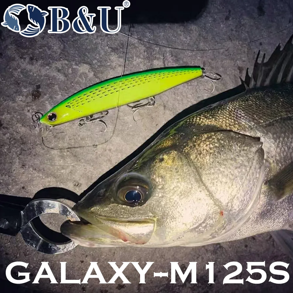 B&U 125mm Sinking Minnow Sea F - Fishing Lure Jerkbait avis et prix